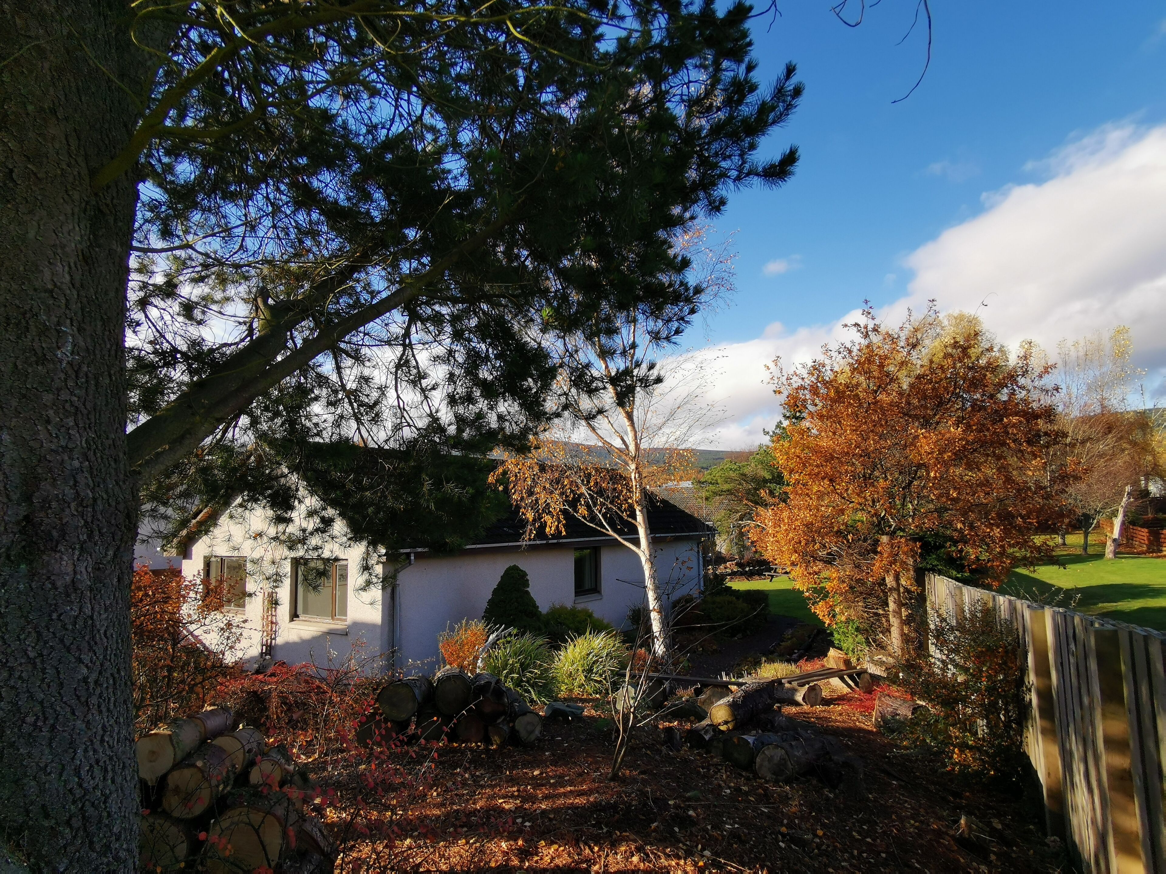 Silver Trees, set in its woodland garden. Looking towards the back of the house.
