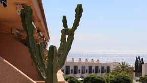 A balcony with a cactus, a building with multiple windows, and a view of the sea. - Modern apartment with great pool, next to harbour, boulevard and beach (el Campello)
