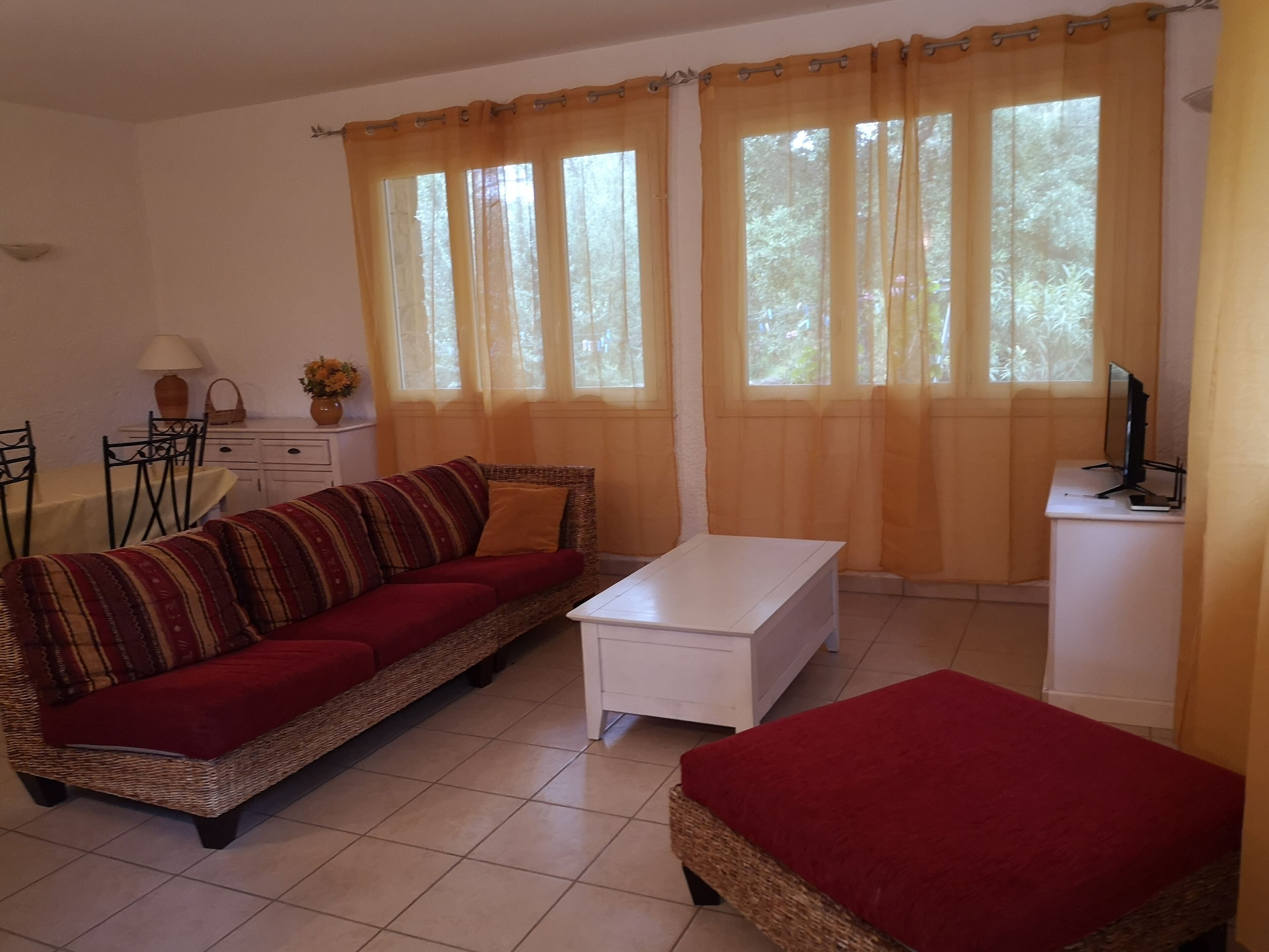 Télévision, cheminée, lecteur de DVD, livres