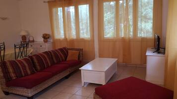 Télévision, cheminée, lecteur de DVD, livres