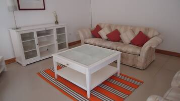 TV, video games, DVD player, books