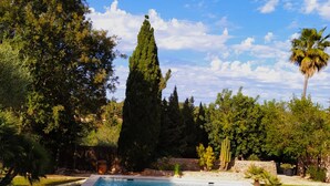 A rectangular swimming pool with clear blue water, surrounded by lush greenery and trees. - SES VELLETES 7 - Villa with private pool in Artà. (Artà)