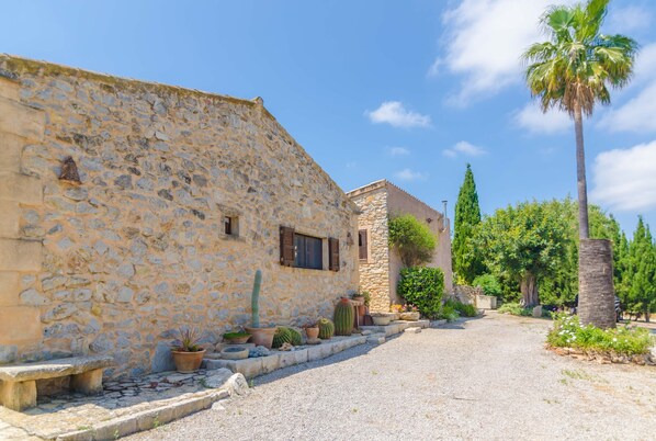 A stone building with a gravel pathway, potted plants, and a palm tree.