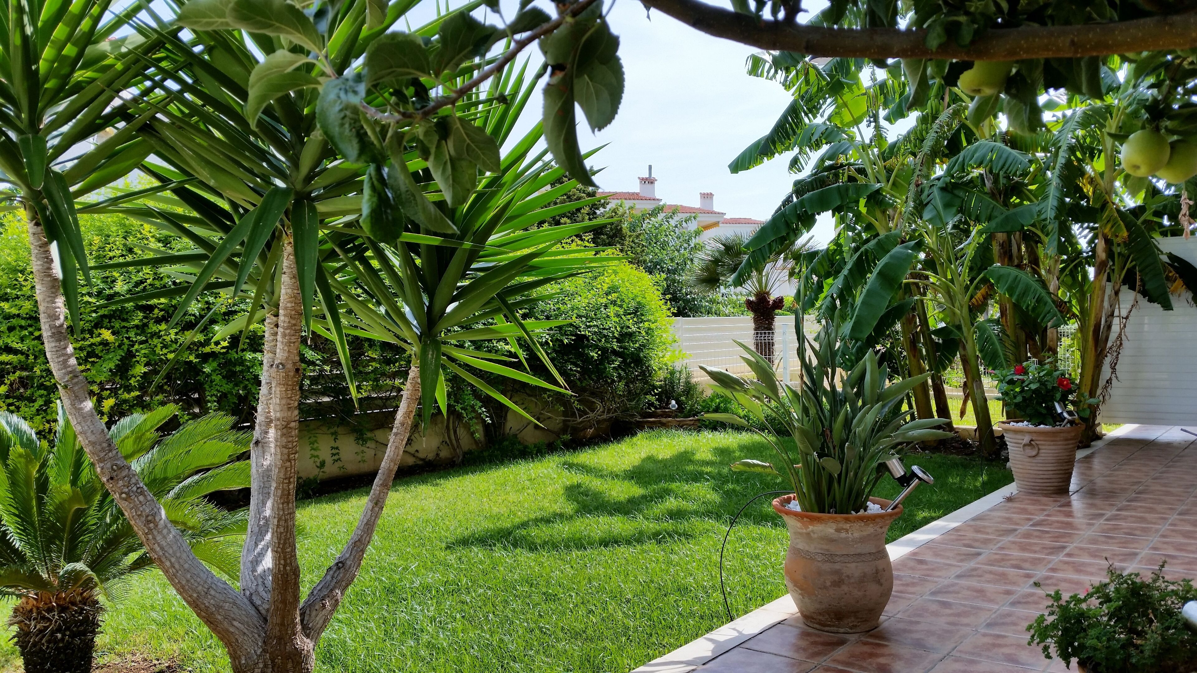 Private Front Garden