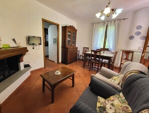 TV, fireplace, DVD player