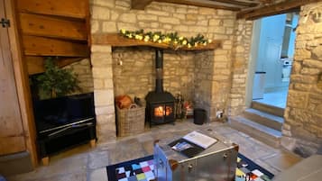 TV connectée, cheminée, livres