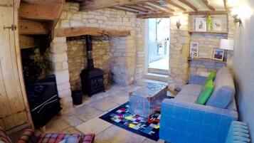 TV connectée, cheminée, livres