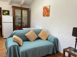 TV, fireplace, DVD player, books