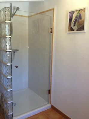 Shower, hair dryer, towels, soap - Mountain Cottage in Mallorca, secluded area with BBQ and private swimming pool (Fornalutx)