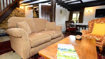 Smart TV, fireplace, books