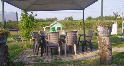 Mökki 8 henkilölle 4 makuuhuonetta 3 tähteä maalaistalo ympäröivät viinitarhat