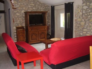 Televisión, mesa de ping pong, libros
