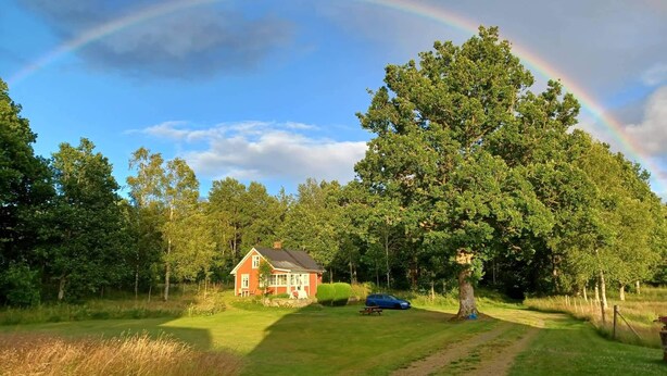 A house with a red roof and white trim, surrounded by lush green trees and a grassy lawn.