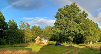 Cosy well-equipped cottage close to nature