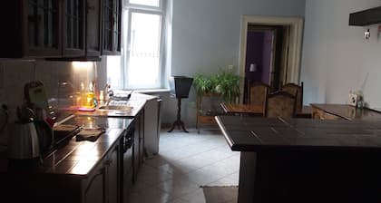 Refined flat 150m2 in Central Poznan on trendy Jezyce district