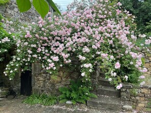 المنطقة المحيطة بالمنشأة