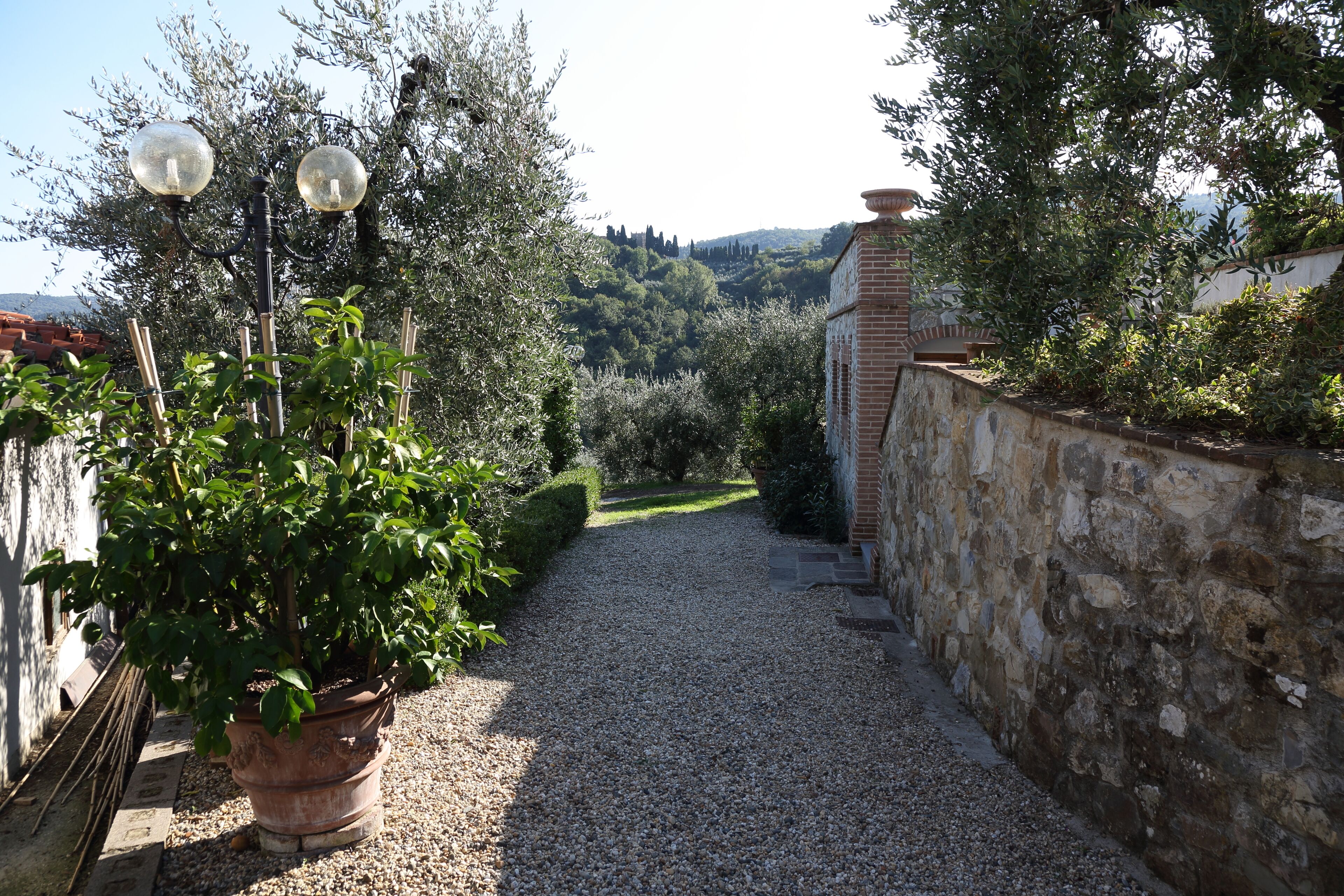 Parco della struttura