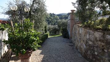 Parco della struttura