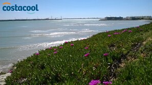Perto da praia, espreguiçadeiras, toalhas de praia 