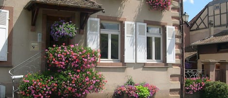 A traditional European building with multiple flower boxes on the facade, a visible entrance, and a clear view of the street.