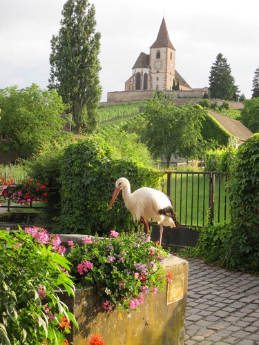 Gîte 3 épis avec terrasse privative . Jardin clos.