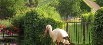 3 épis gîte met tuin