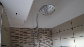 Regadera, secadora de cabello, bidet, toallas 
