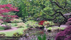 A serene garden with a pond, various trees, and a red bridge. - Gorgeous canal house in The Hague city (Den Haag)