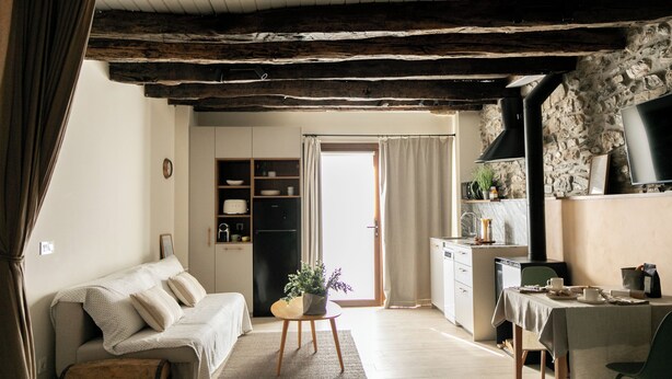 A cozy living room with a sofa, a small table with a plant, a kitchen area with a stove, and a dining table with chairs. - Enjoy our cozy 40m² diaphanous loft. Comfort and relaxation. (Aia)