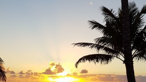 A beach scene with a sunset, palm trees, and a thatched hut. - ATICO PUERTO DE TAZACORTE (Tenerife)