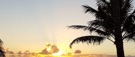 Una spiaggia nelle vicinanze