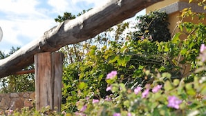 En rustik träpergola med klätterväxter och blommor.
