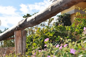 Relax under the shaded pergola, surrounded by lush greenery and vibrant flowers.