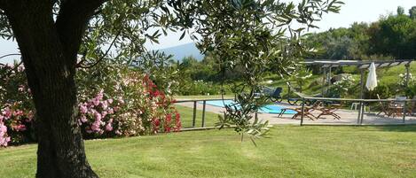 Piscina all'aperto