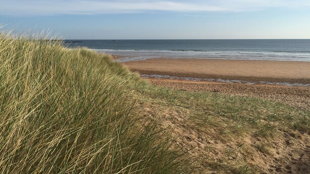 Ein Strand mit Sand und Gras im Vordergrund und dem Ozean im Hintergrund.
