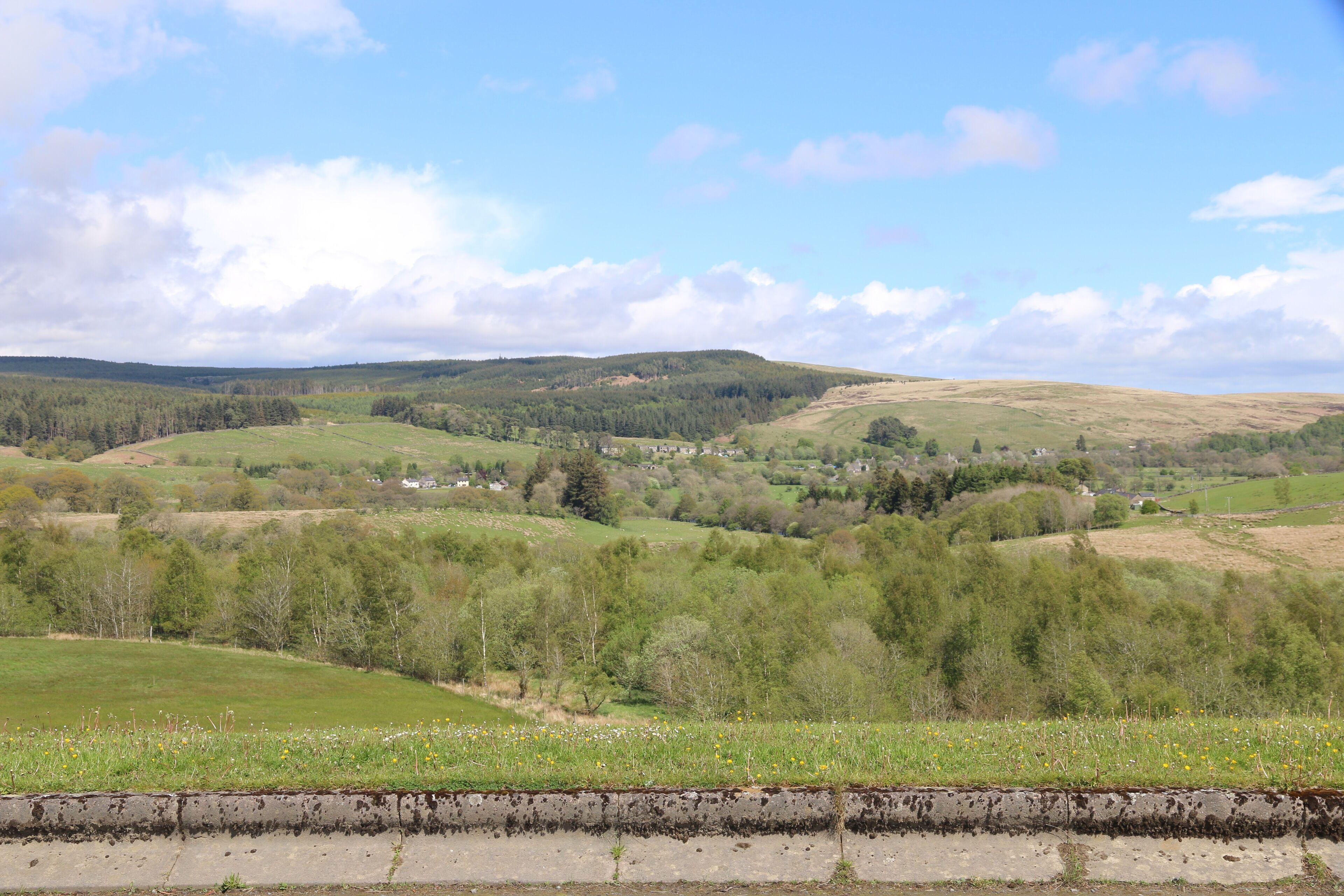 Un paysage rural caractérisé par des collines douces, une route et des arbres dispersés.