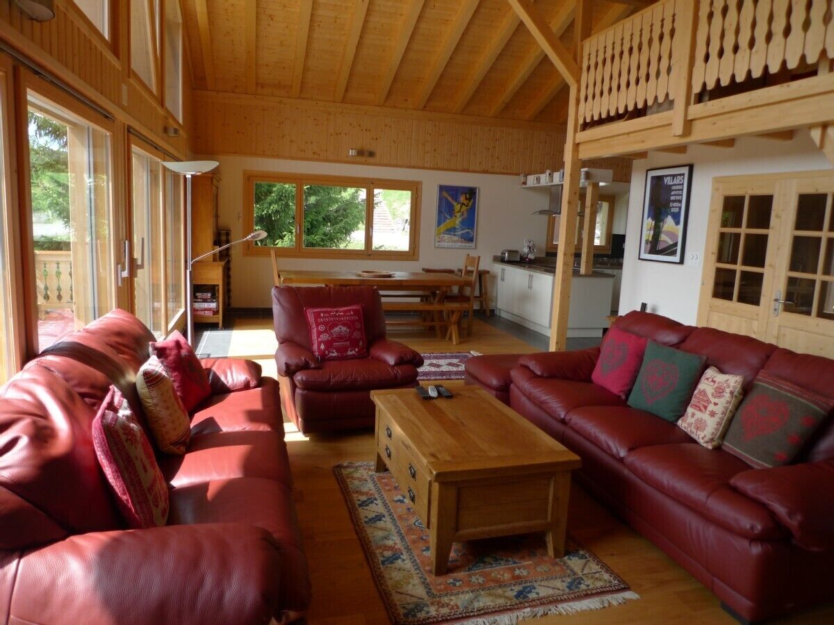 智能电视、壁炉、DVD 播放器、书