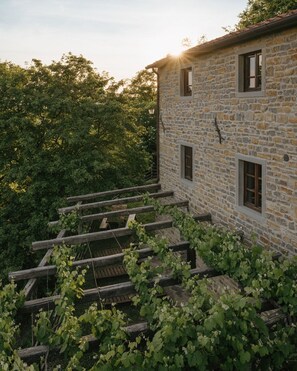 Overnattingsstedets uteområder