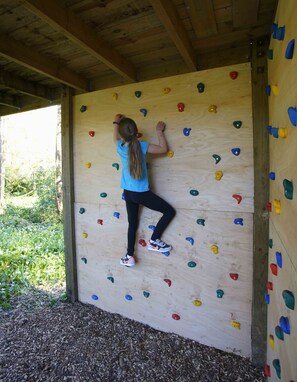 A wooden climbing wall with various colored holds.