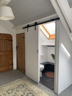 A room with a wooden door, a white sliding door, a skylight, a toilet, and a patterned rug.