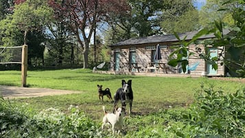 Une maison de campagne à l’aspect rustique, avec une façade en pierre, une terrasse en bois et un grand arbre aux feuilles rouges en arrière-plan.