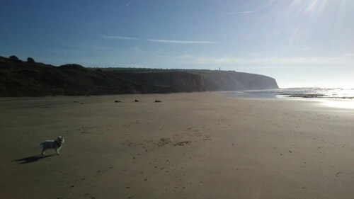 Gut positioniert, attraktiven Chalet in Sandown