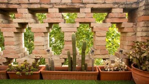 A brick structure with potted plants and cacti.