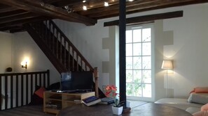 TV, DVD player, ping pong, books - Very calm charming mill 15km from Tours - Paradisiac! (Monts)
