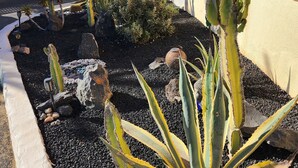 A desert garden with cacti and agave plants, a white fence, and a building in the background. - Detached Sea View Villa on Gated Development. (Antigua)