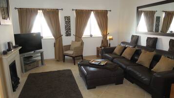 Smart TV, fireplace, DVD player, video library