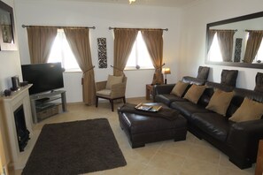 Älytelevisio, takka, DVD-soitin, videokirjasto