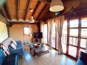 Televisio, takka, DVD-soitin, kirjoja