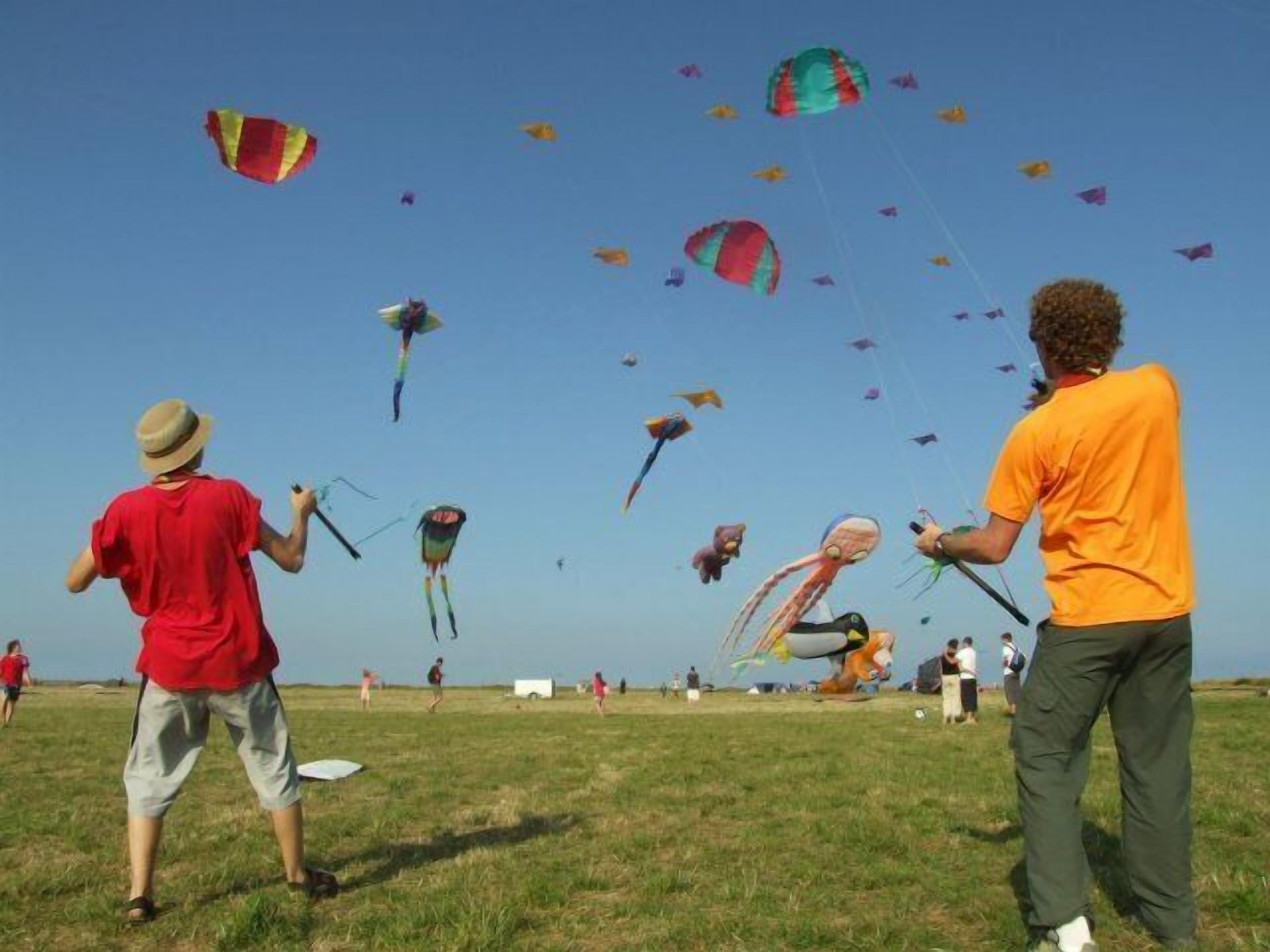 A grassy field with people flying kites.
