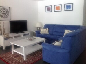 Televisie, een dvd-speler, boeken en een filmbibliotheek